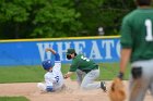 Baseball vs Babson NEWMAC Finals  Wheaton College vs Babson College play in the NEWMAC baseball championship finals. - (Photo by Keith Nordstrom) : Wheaton, baseball, NEWMAC, Babson